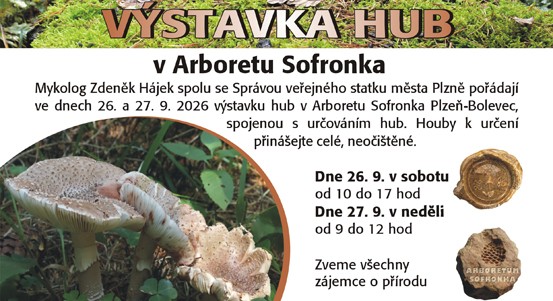 Výstava hub na Sofronce nabídne houby z plzeňských lesů i mykologickou poradnu