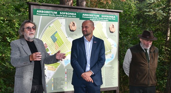 Sofronka slaví 70 let. Plzeňské arboretum ukrývá borovice z celého světa