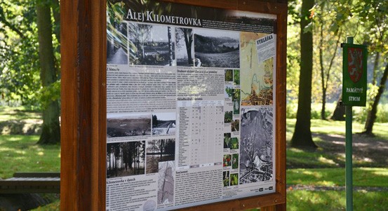Nové infotabule odhalují historii jediné památkově chráněné aleje v Plzni