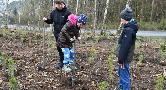 Den pro les v Plzni: Přijďte sázet stromy do městského revíru V Pytli