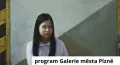 Galerie města Plzně zve na komentovanou prohlídku výstavy nebo přednášku