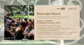 Plzeň míří do Senátu. Den Plzně ve Valdštejnské zahradě nabídne hudbu, animaci, výstavu, bednáře i pivo