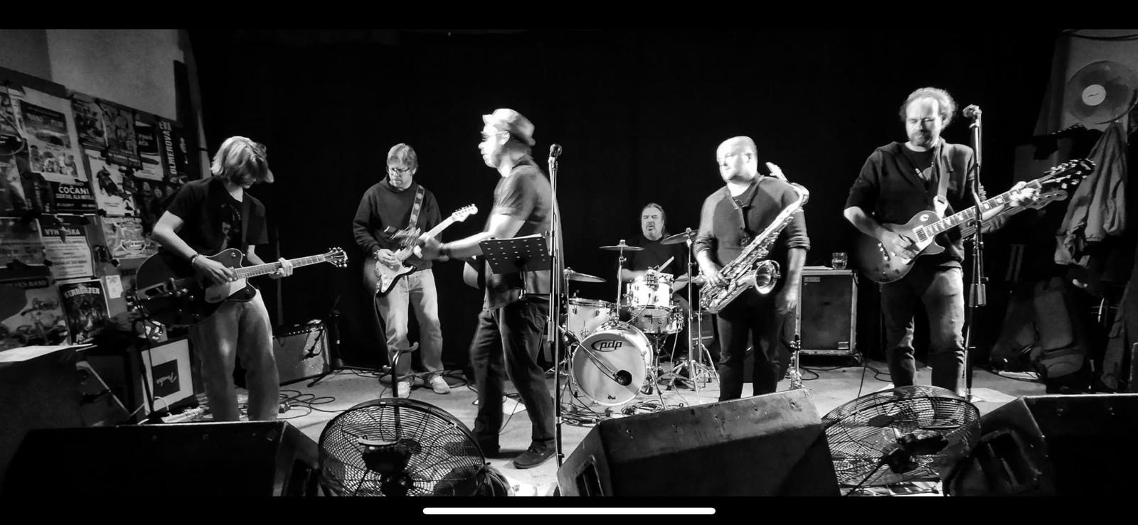 Young Horses – Neil Young Tribute Band