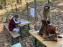 Myslivci v Arboretu Sofronka v Plzni přiblíží myslivost, včelařství i další lesní činnosti