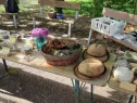 Výstava hub na Sofronce i přes tropická vedra představila přes 50 druhů hub