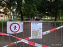 Opravujeme povrch mlatových cest v Křižíkových sadech
