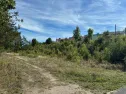 Mezi Křimicemi a Skvrňany vznikne nový sportovní areál