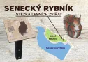 Lesní stezka Siluety zvěře, kterou jsme vytvořili, vybízí děti i dospělé k poznávání obyvatel lesa