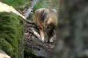 4.A na škole v přírodě - 3. den