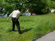 Pozvánka pro veřejnost  - přijďte se podívat na sekání kosou v Komenského ulici a v Kralovické ulici