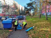 25.11.2024