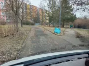 11.3.2025