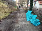 14.3.2025