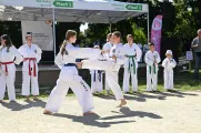 Bojové umění taekwon-do, klub Narama. Foto: Milan Svoboda