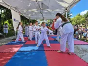 Bojové umění taekwon-do. Foto: ÚMO Plzeň 1