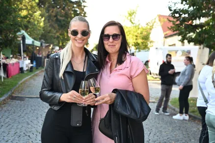 Bolevecké vinobraní: Vína z Čech a Moravy, cimbálovka i Bára Basiková. Už druhý zářijový víkend