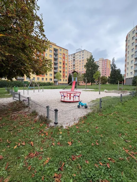 Manetinska_11