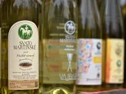 Návštěvníci mohli ochutnat kolem padesáti druhů svatomartinských vín. Foto: Milan Svoboda