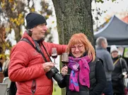 Svatomartinské hody 2025. Foto: Milan Svoboda