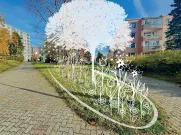 Výsadba stromů nebo trvalek poblíž Družby. Zdroj: ÚMO Plzeň 1