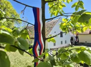 Na lípě vysazené v roce 2023, zavlála trikolora. Foto: ÚMO Plzeň 1