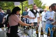 Bolevecké vinobraní 2026. Foto: JA Production