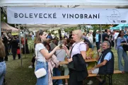 Bolevecké vinobraní 2026. Foto: JA Production