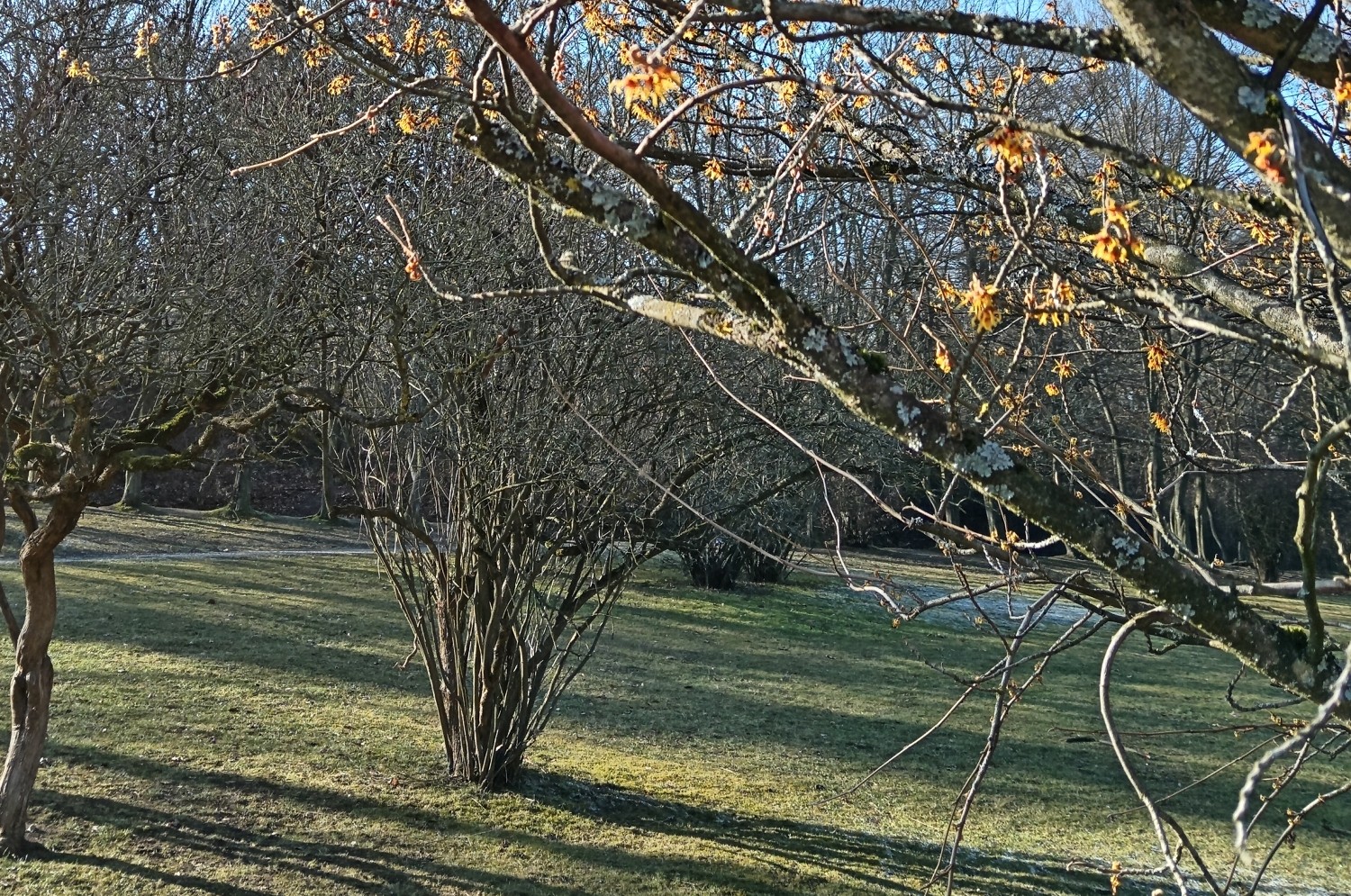 4a