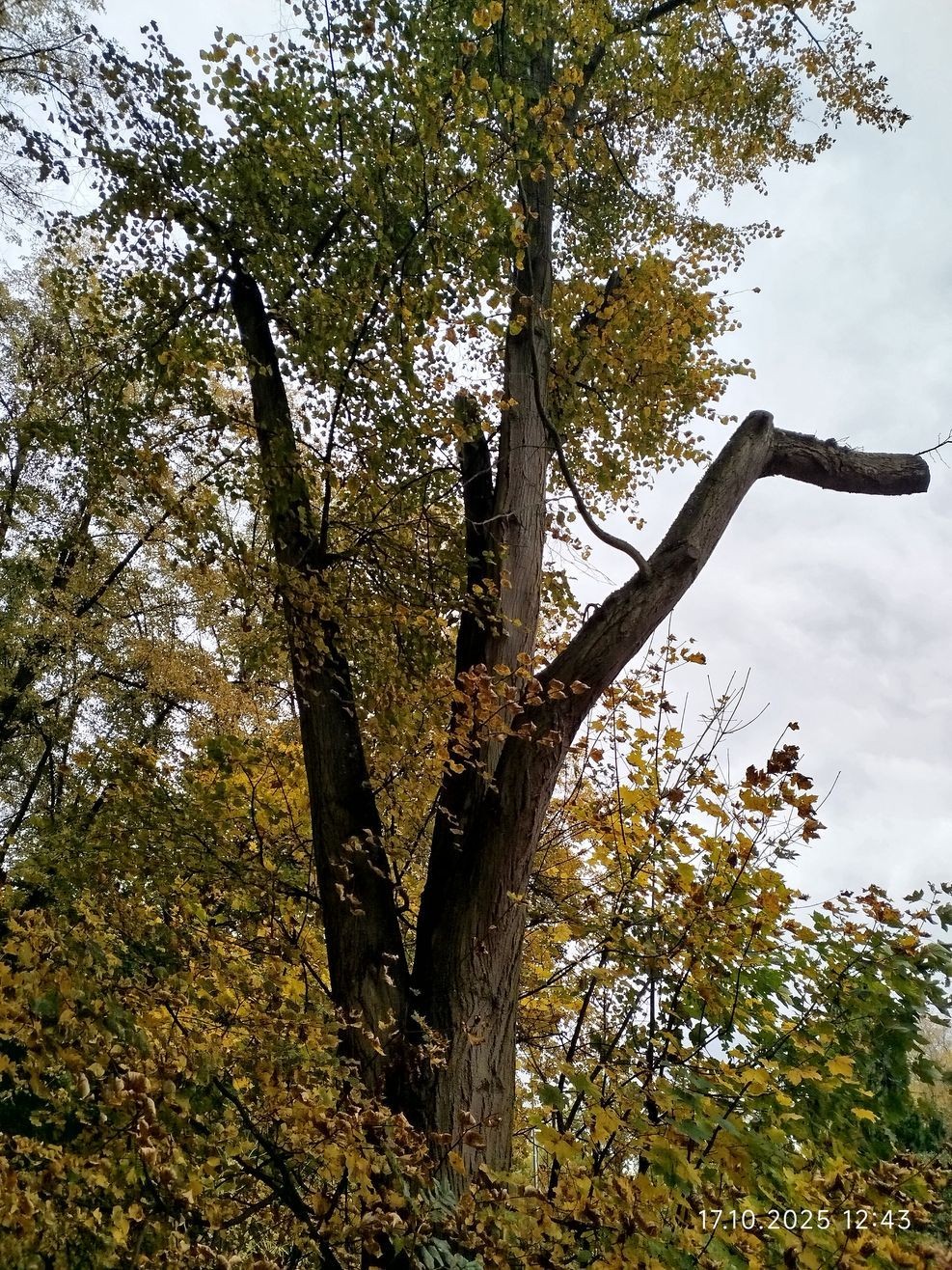 Homolka17-10-2025_fotoLucieZEMANOVÁ Homolka17-10-2025_fotoLucieZEMANOVÁ