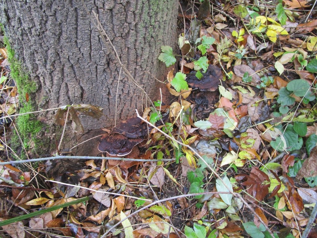 IMG_5527_fotoNinaMYSLÍKOVÁ IMG_5527_fotoNinaMYSLÍKOVÁ