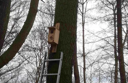Božkovský ostrov bude opět plný ptačího zpěvu