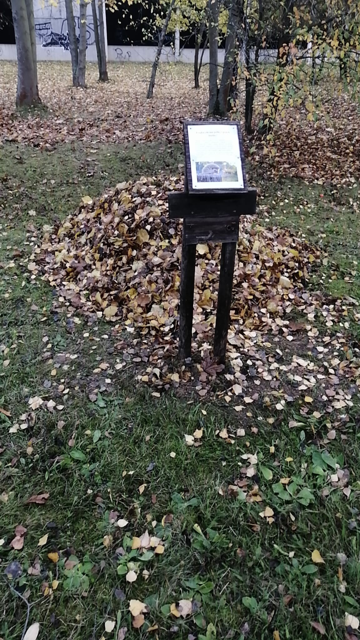 Zimoviště pro ježky