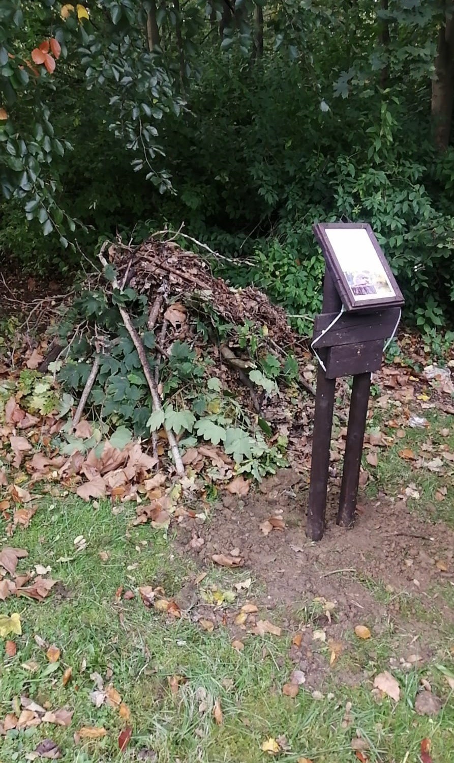 zimoviště pro ježky 2024