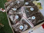 Dárek pro všechny pejsky od Městského obvodu Plzeň 3