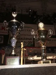 Vítězný ohňostroj získal primátorský pohár