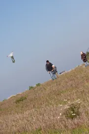 Drakyáda se konala na Borských polích v Plzni