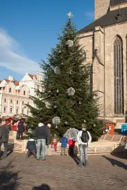Vánoční strom na náměstí Republiky