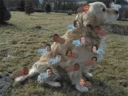 1.místo - ZŠ Heyrovského, 6. třída