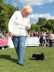 Jeden z nejmladších účastníků soutěže o Nej psa 