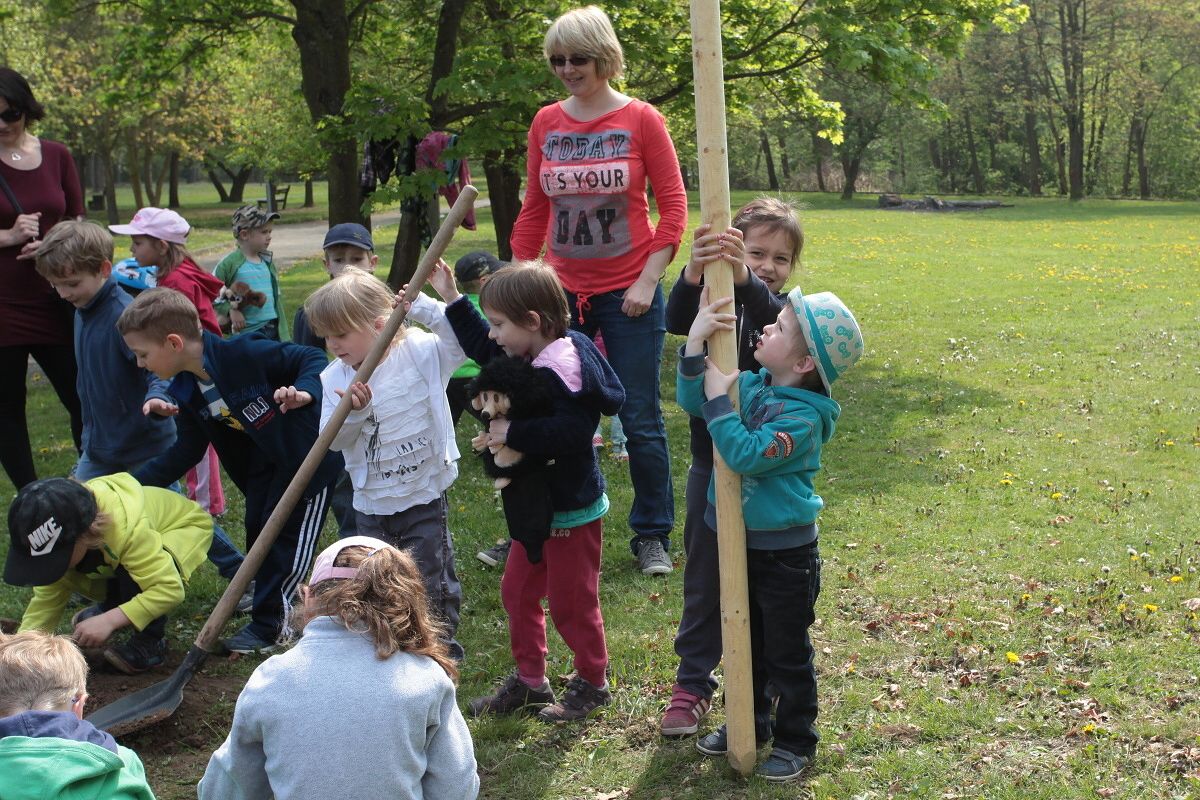 Sázení stromů v Borském parku