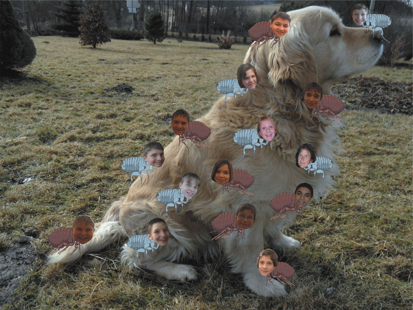 Máme rádi zvířata