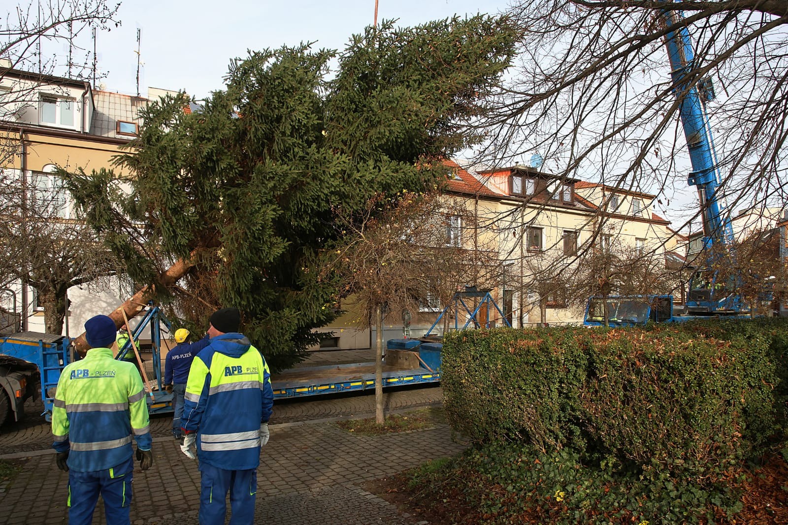 IMG-20251118-WA0005 IMG-20251118-WA0005