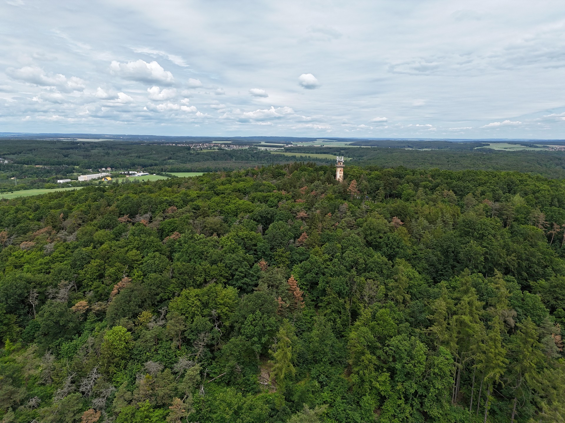 4032-3024-max (1) 4032-3024-max (1)