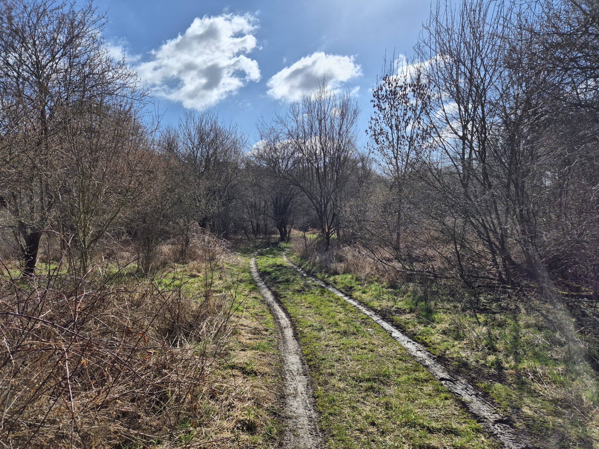 20260327_pecihradek_levy_breh_berounky (1)