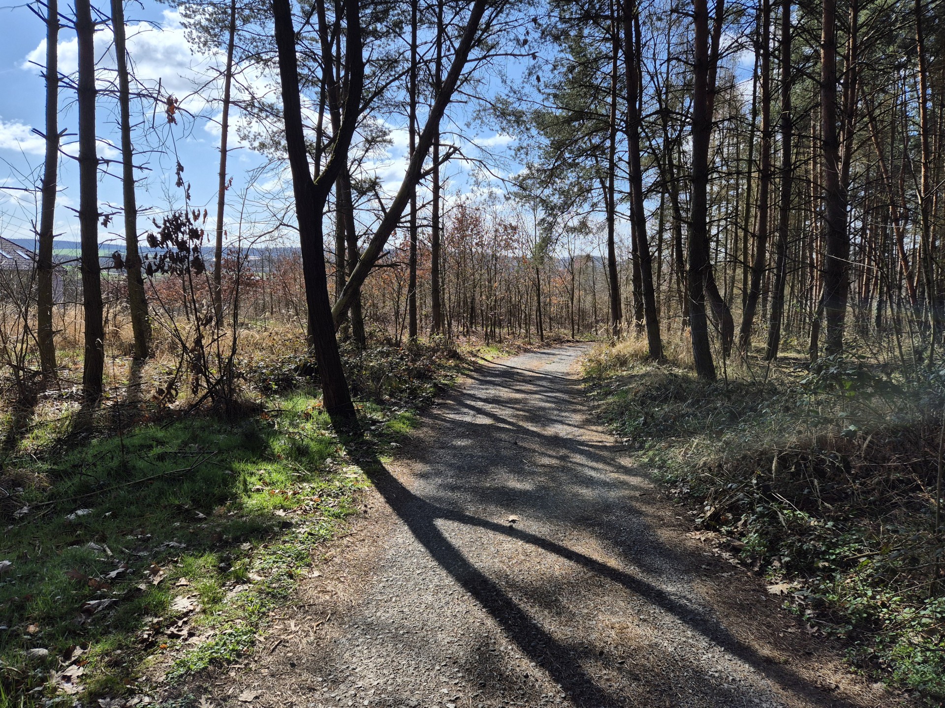 20260327_pecihradek_levy_breh_berounky (26) 20260327_pecihradek_levy_breh_berounky (26)