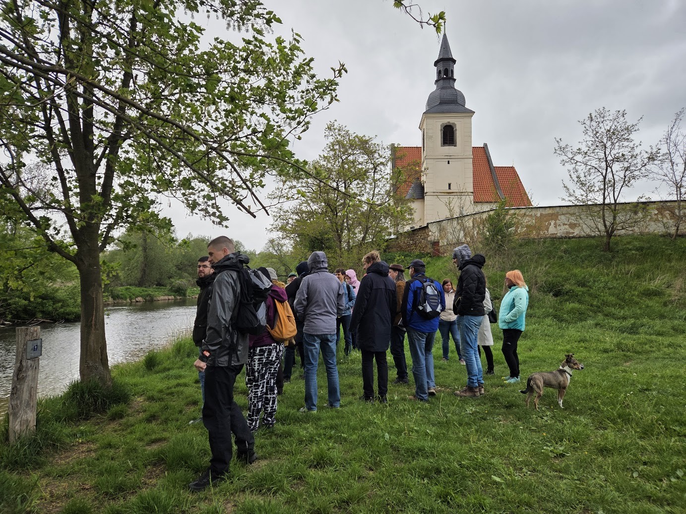 procházka