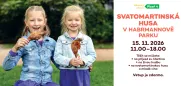 Svatomartinská husa