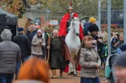 Svatomartinská husa