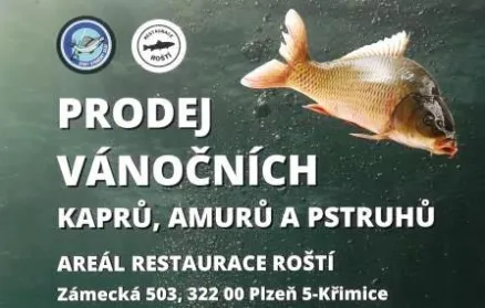 Prodej vánočních kaprů