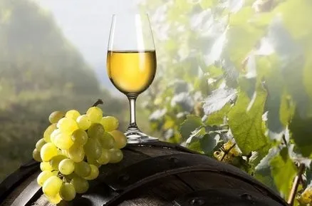 Litické vinobraní